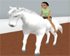 White Ami Horse