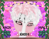 ꨄBlossom Hairꨄ