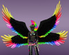 Rainbow/Black Wings
