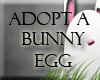 Adopt a bunny egg!