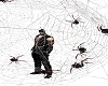 IMYU Spiders Animated
