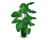 Plant Pot B