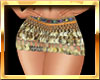 Belly Dance Skirt