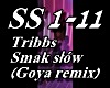 TRIBBS - SMAK SLOW RMX