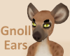 Gnoll Ears - Nau