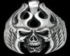 Harley-Davidson Skull