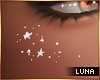 ☾ Cheek Sparkle
