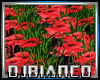 Epic Grass 1 DjLight