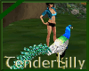 animated peacock