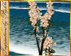 I~Oasis Flowering Bonsai