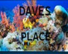 Dave's Place