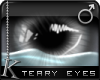 K| Teary Eyes: Silver