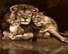 Lion ~n~ Cubs club