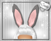 Bunny Ears Grey & Pink