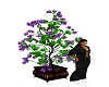 Purple Flower Tree