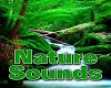 Sounds of Nature Effects