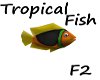 Fish Tropical F2 Anima