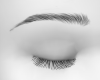 LIDIA BROW