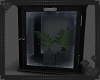 Vintage Plant Terrarium