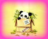 Panda Pic 