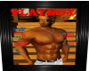 #n# sexy playboy