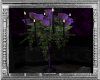 W| Purple Candelabra