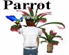 Parrot Tropical Animated