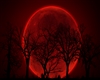 Red Moon Photo