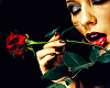 Photo Art Kiss of Rose
