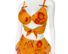 orange spring c