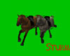 Equestrian Screenshot V1