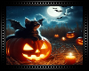 🎃 Halloween Kitten BG