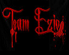 Team Ezio Shirt Male