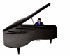 314* People Piano Play