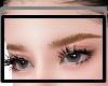Brown Eyebrow