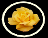 Yellow Rose Rug