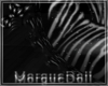 *M* Darkest Zebra Rug