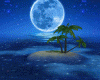 Night Island