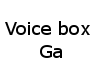 voice box ga