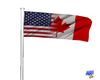 USA/Canada Flag Animated