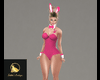 PB Pink Bunny Fit