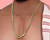 ♕ Double Gold Necklace