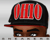 ~Ohio Snap Fitted Hat