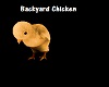 Backyard Chicken
