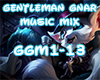 Gentleman Gnar-Music Mix