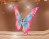 Pink Butterfly Belly
