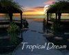 AV Tropical Dreams