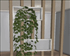 Sunny Wall Divider