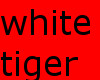 WhiteTiger fireplace