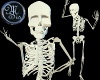 (MSis) Bone Skeleton